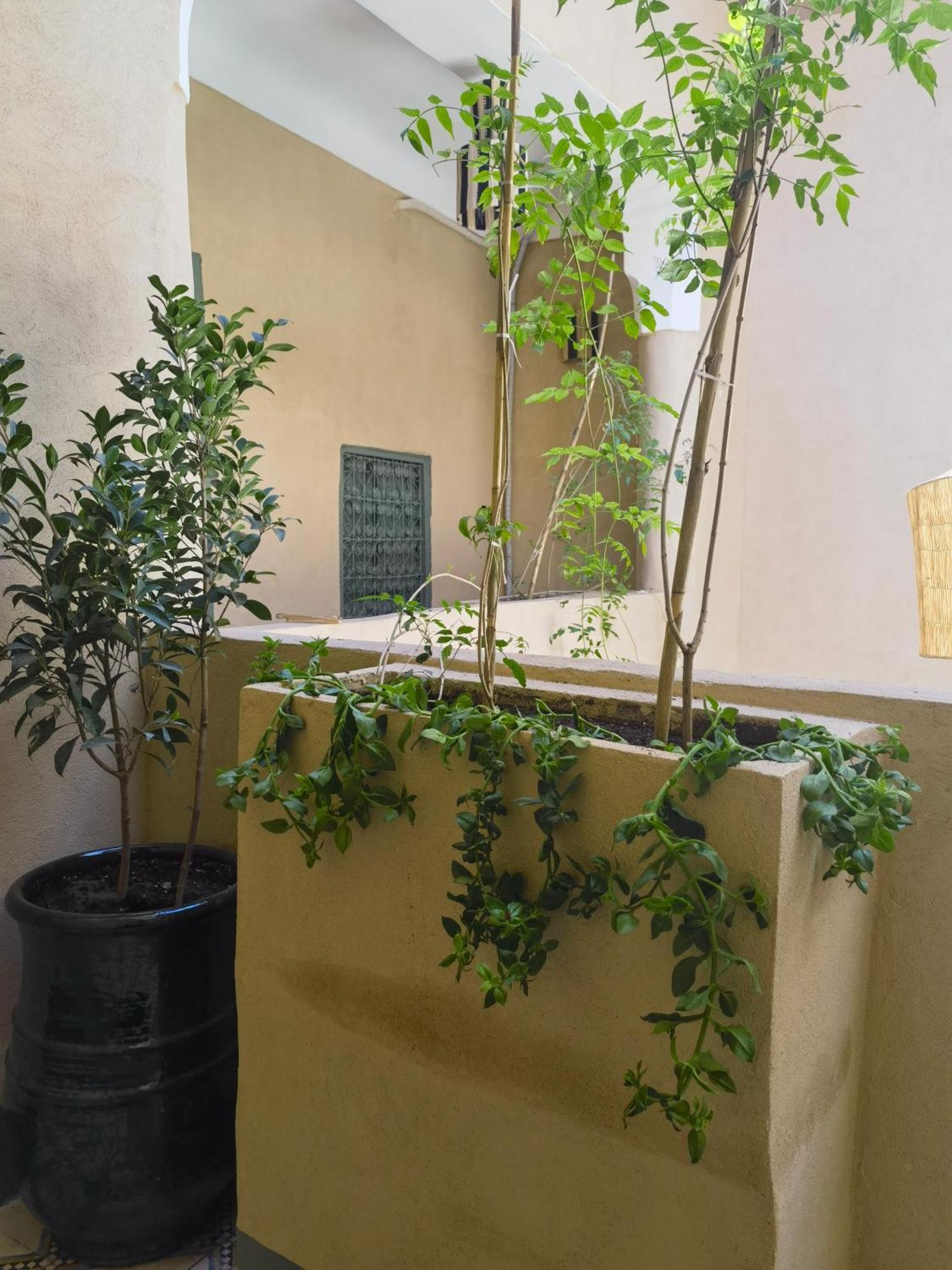 מרקש Medina Oasis Hostel מראה חיצוני תמונה