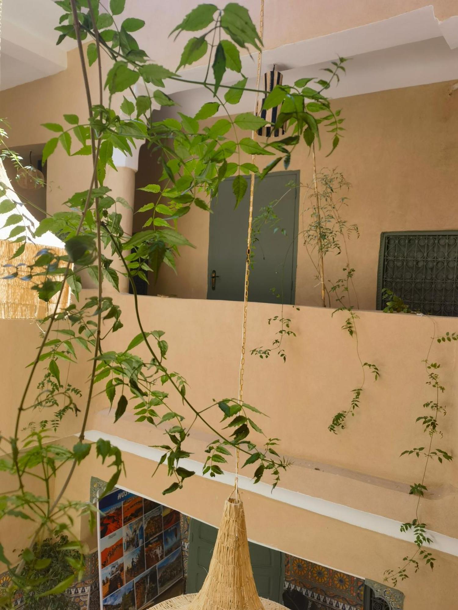 מרקש Medina Oasis Hostel מראה חיצוני תמונה