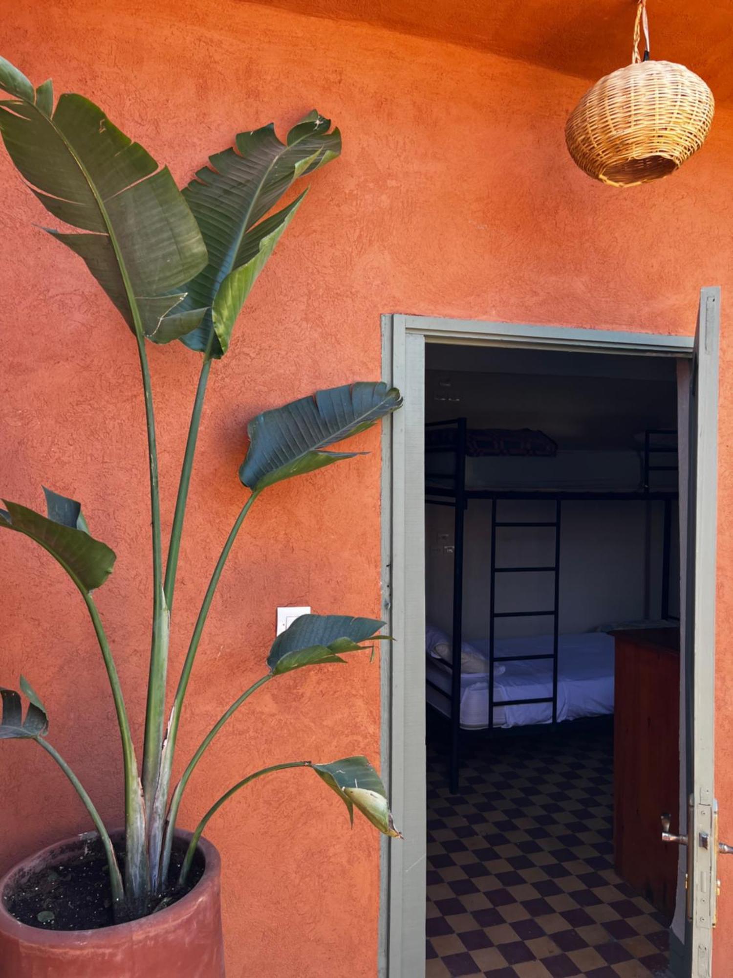 מרקש Medina Oasis Hostel מראה חיצוני תמונה